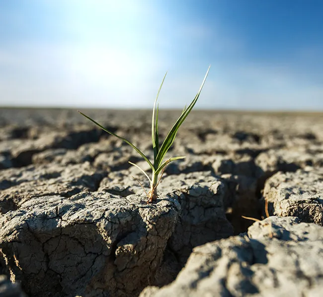 多元化的治理架构